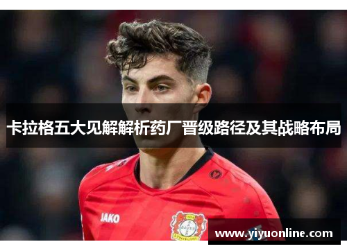 卡拉格五大见解解析药厂晋级路径及其战略布局